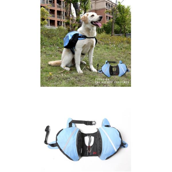 Качественный Оксфордский обучение на открытом воздухе