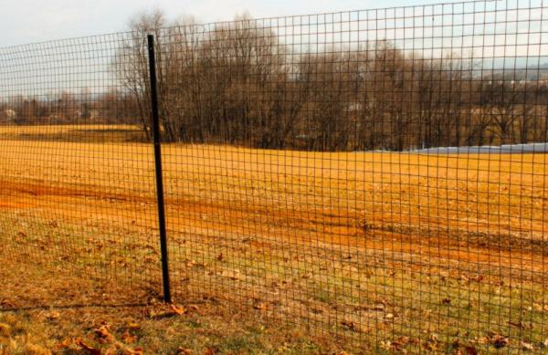 Galvanised Welded Metal Wire Mesh 12 Gauge PVC Coating 2x2 Inch Wire Mesh