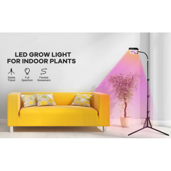 крытый полный свет стойки треноги завода лампы 15mm завода СИД спектра 30V