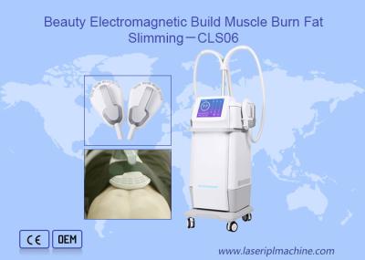 Máquina eletromagnética magnética do laser 220v IPL da perda gorda