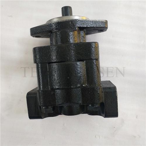 Hydraulic gear pump P330 bushing pump P330A597FYAB15-25