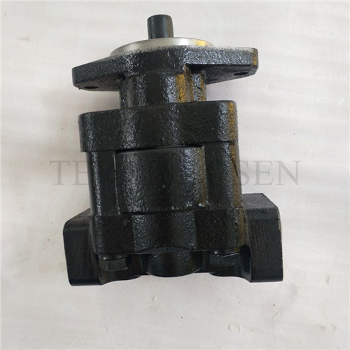 Hydraulic gear pump P330 bushing pump P330A597FYAB15-25