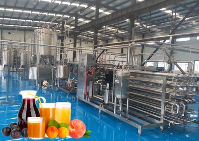 Linha puré da trasformação de frutos dos SS 304 do suco da fábrica de tratamento do pêssego secado