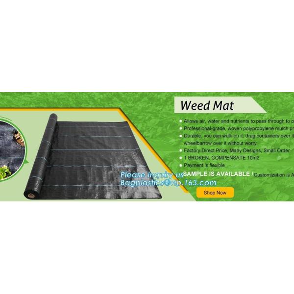 green color Plastic Ground Cover Mats mulch weed control fabric mat,Weed Barrier Around Fruit Trees PP Woven Weed Mat fo