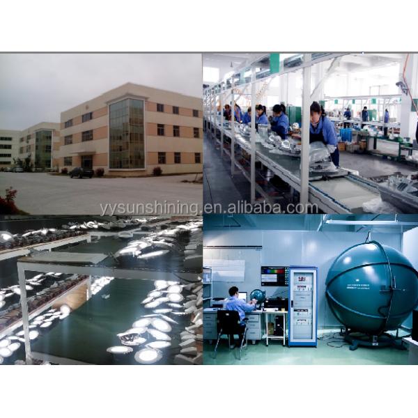 3000K-6500K Color Temperature Stainless Steel LED Buried Light for Landscape Lighting