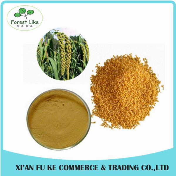 100% Pure Natural Non GMO Kosher Halal Certified 10:1 Purple Corn Seed Extract Powder