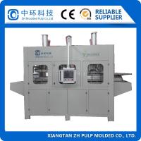 Máquina de termoformación de celulosa compostable de 380 V para la fabricación de placas biodegradables