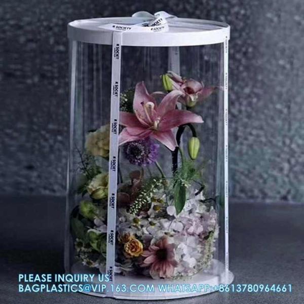 Tall Clear Cake Boxes With Ribbon - Gold Round Clear Cake Box For Birthday Cake | Wedding Cake Transparent Cake Box