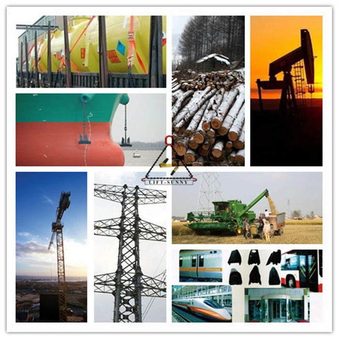 Деформирование в холодном состоянии 316/304 сережки европейца d нержавеющей стали