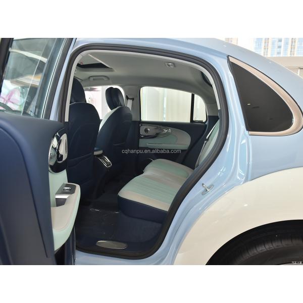 Experience the Future of Driving Ballet Cat Mini EV 5-door 5-seat Hatchback for Women