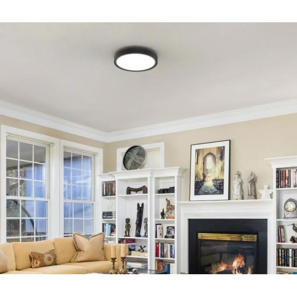 IP44 10inch 15W C1015 LED Single Ring Intergrated Ceiling Light for and Customization