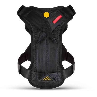 Car Seatbelt Pet Harness Lightweight No Pull Front Clip Dog Harness ODM S M L