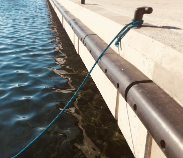 Premium Rubber D Fenders: Your Ideal Marine Protection Solution