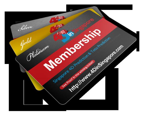 Hot Stamping PVC Gift Cards Plastic CR80 PVC Cards Glossy Matte Surface Finish
