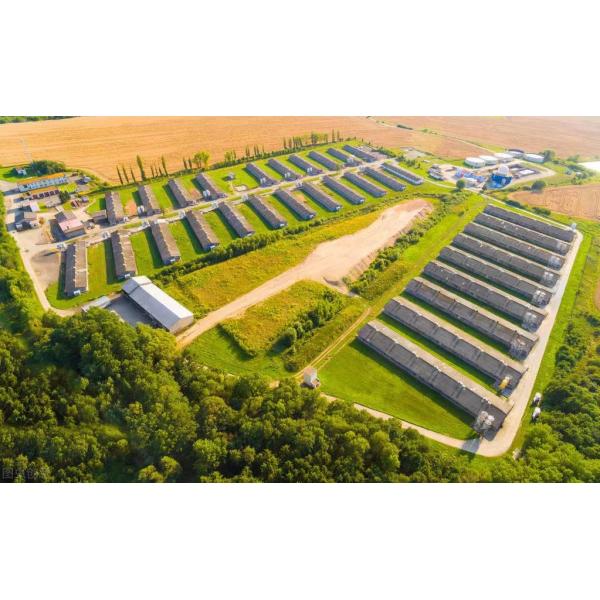 Heavy Hammer Exhaust Fan For Cow Cattle Shed Dairy Chicken Pig House