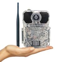 Nube antirrobo remota de la visión nocturna del App LTE GPS de Keepguard 4,0 que caza la cámara del rastro
