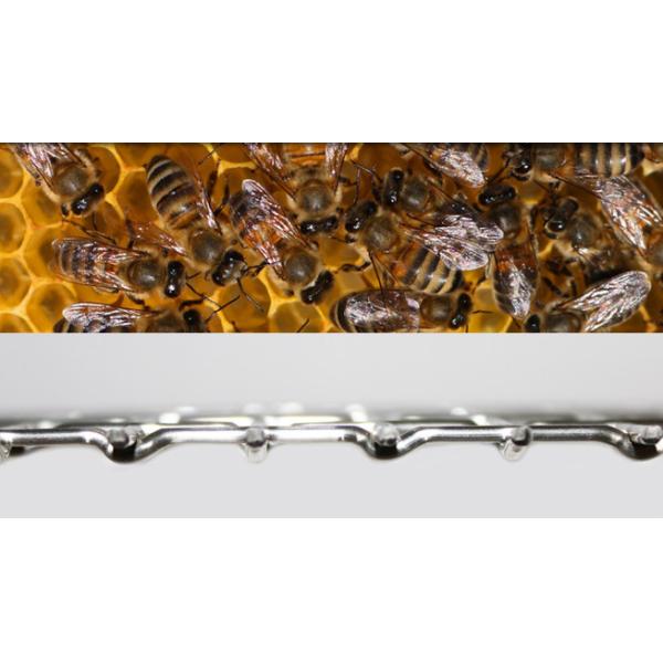 10 Mesh Galvanized Woven Beekeeping Mesh 410mmx510mm