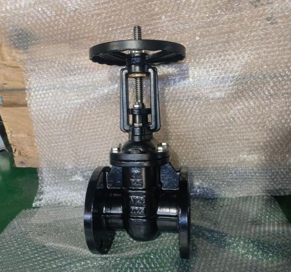 MSS SP-70 rising stem 3'' gate valve A126B black color