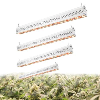 Full Spectrum Waterproof Led Grow Light Bar 300W For Veg Bloom White Shell