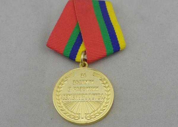 Gold Custom Awards Medals / Reward Medal With Zinc Alloy 3D Design And Ribbon Matched