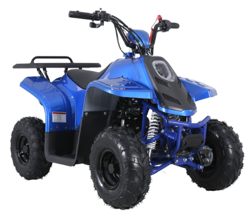 110cc резвятся молодость участвуя в гонке ATV привода с цепной передачей 4 Уилеров