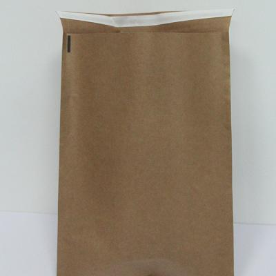 Heavy Duty Pointed Bottom Paper Bag Tear Resistant 25x35cm