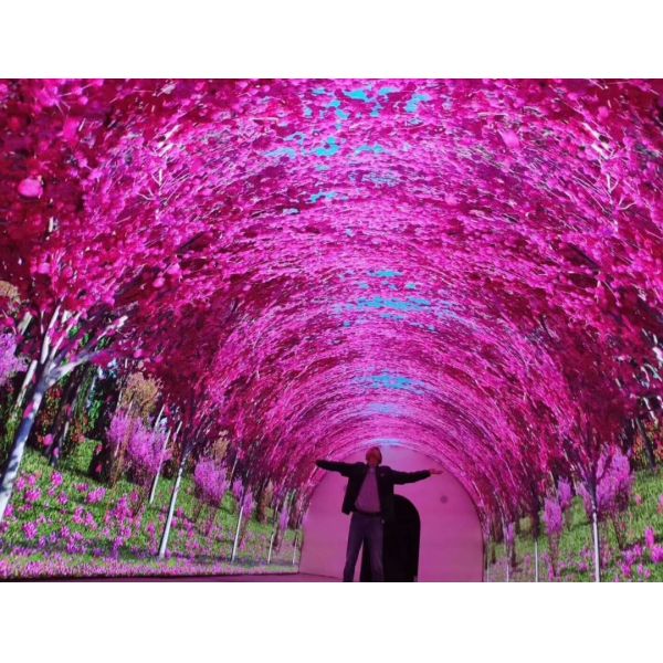 Immersive Flexible Curved LED Videos Walls Display 3D Interactive Tunnel LED Screen