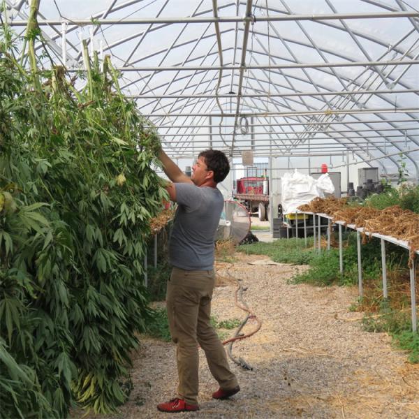 Ширина 8м 9м дома обруча Деп света рамки черно-белого фильма рамки алюминиевого