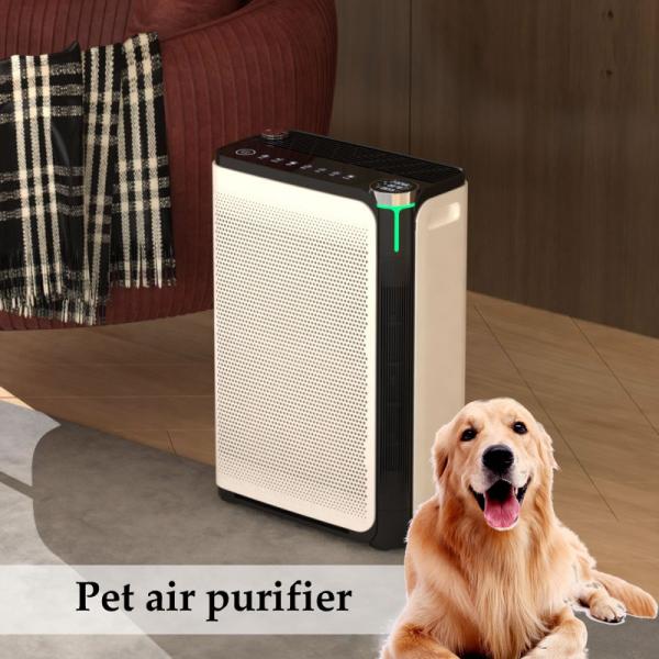 Home Pet Air Purifier Adsorbing Floating Hair With Hepa Air Cleaner