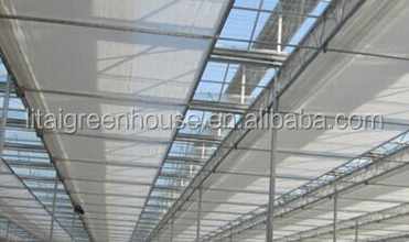 Настраиваемый размер покрытый пленкой птицефабрика теплица длина 30-100 м с пленкой