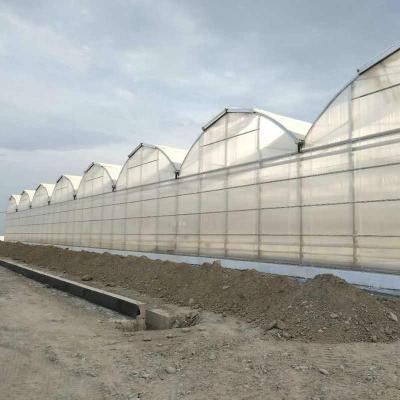 Estufas de policarbonato galvanizado de 3 mm, 4 mm, 16 mm e 10 mm com sistema de cultivo no Turcomenistão