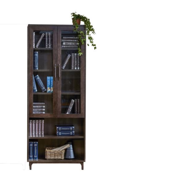 Os armários de armazenamento modernos da sala de família da mobília couberam a biblioteca da porta dobro