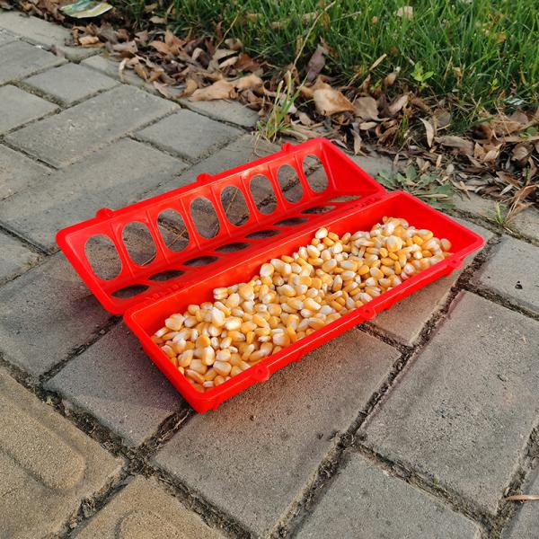 Standard Chicken Feed Trough For Easy Cleaning And Maintenance