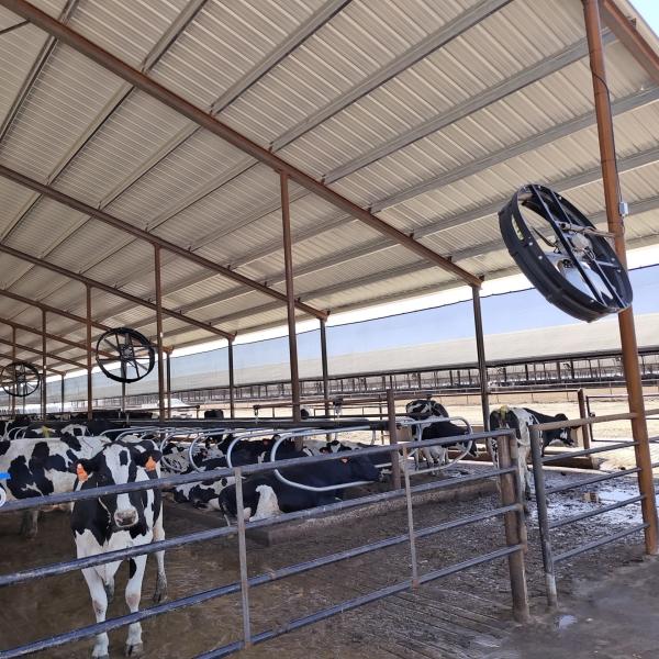 400mm Industrial Exhaust Fan: The Dual-Purpose Solution for Fire Safety and Livestock Cooling