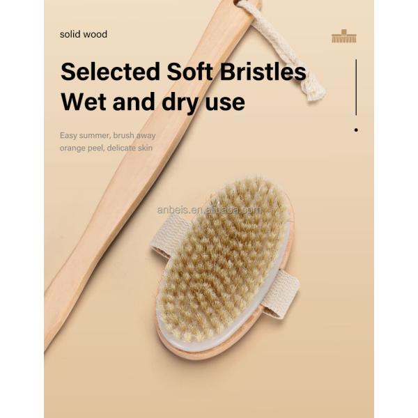 OEM Detachable Long Handle Body Scrub Brush Dry Skin Cellulite Treatment