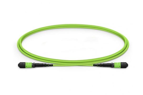 Female To Female OM5 MTP MPO Fiber Cable 12 Fibers Type B Plenum OFNP