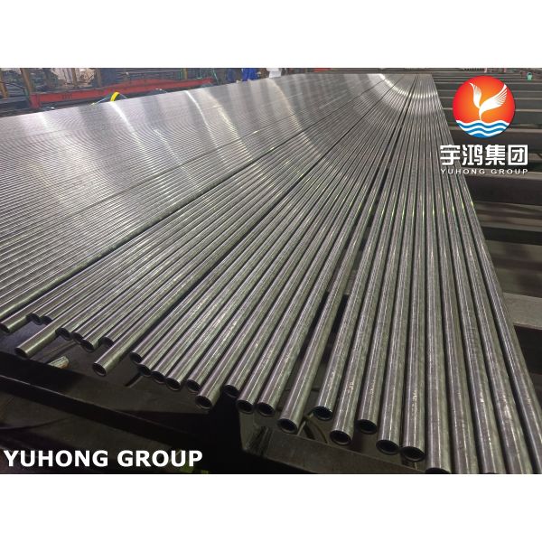 ASME SA213 T5 Alloy Steel Tube Seamless Hot Rolled for Boiler Heat Exchanger Application