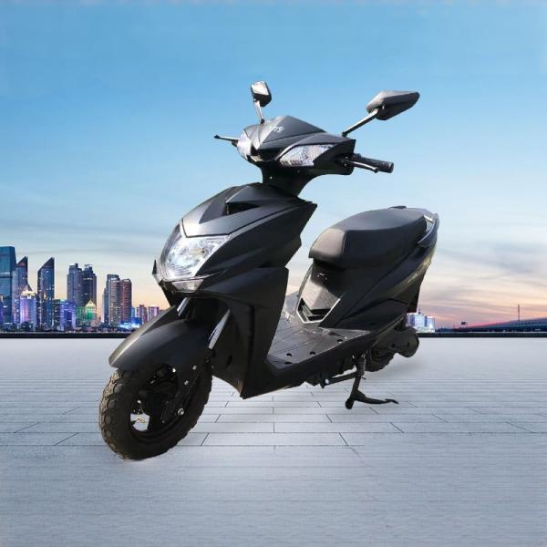 2024 800W 60v Cargo Delivery Motorcycle with Rear Hub Motor Steel Frame Lithium Battery