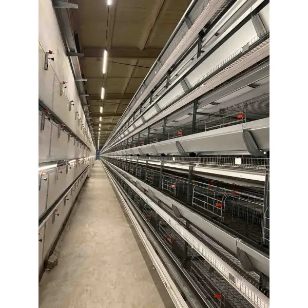 Automatic H Type Battery Layer Chicken Cage System with Fully Automatic Operation, Hot-Dip Galvanized Steel, and H-Type Layered Design for Poultry Farming