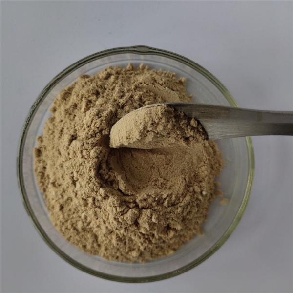 Best Selling Products Codonopsis Pilosula Extract