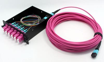 Fiber Optic MPO MTP Cable 8 Fiber OM4 LSZH Jacket for Network Connections Data Center