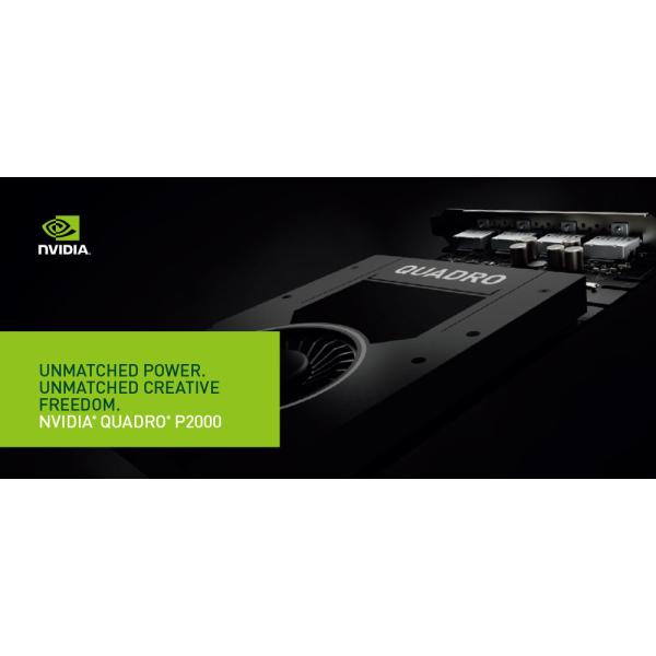 Original NVIDIA Quadro P2000 Public GPU For Scientific Computing