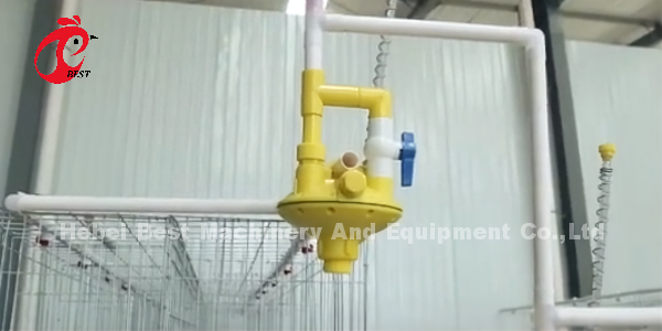 Двери клетки 40 слоя яйца клетки сельского хозяйства птицы гальванизированные системой в Африке Adela