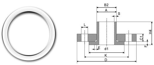 Petroleum UNS S31603 Welding Ring Alloy Steel Flanges