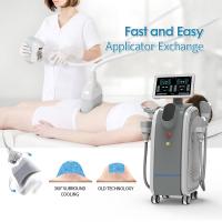 Best Choice For Luxury Beauty Salon RF Power 50W Cryolipolysis Machine Fat Freezing And Body Beauty Equipment