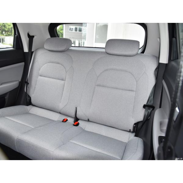 Electric Vehicle EV Leap T03 2023 310 Qingxiang Microcar Car After-sales Service Local