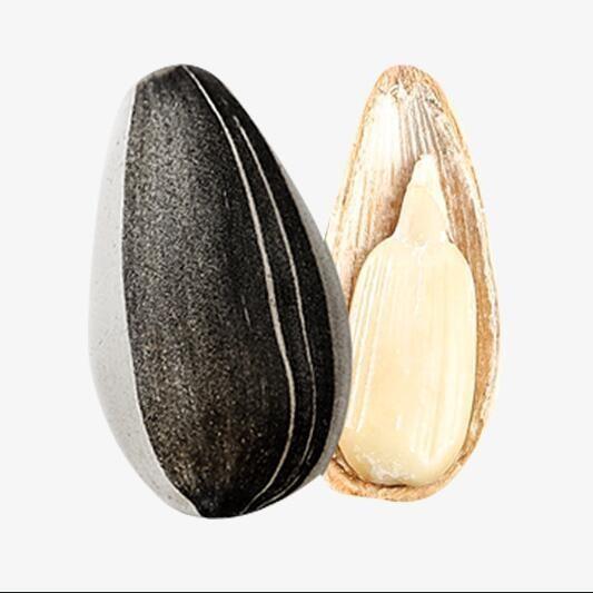Amazon hot sale Wholesale of high-quality sunflower seed raw materials for oil extraction