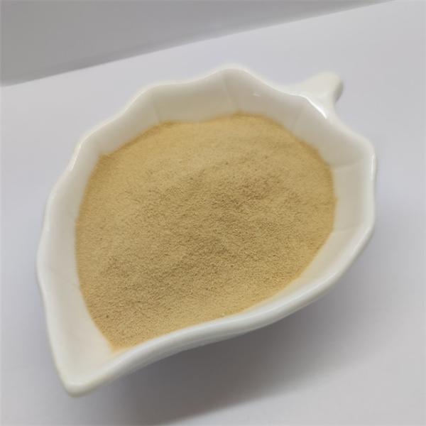 Levedura de gado rica em proteínas Levedura em pó rica em aminoácidos
