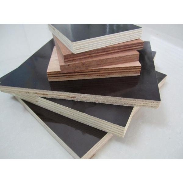 hardwood film faced plywood