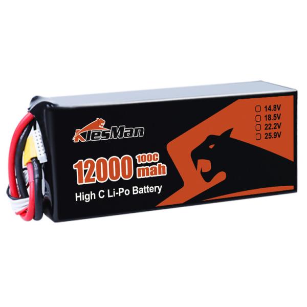 FPV Drone Batterie 6S 22.2V XT60/90 Plug 12000 MAh Lipo Batterie pour le FPV Drone de 10 pouces